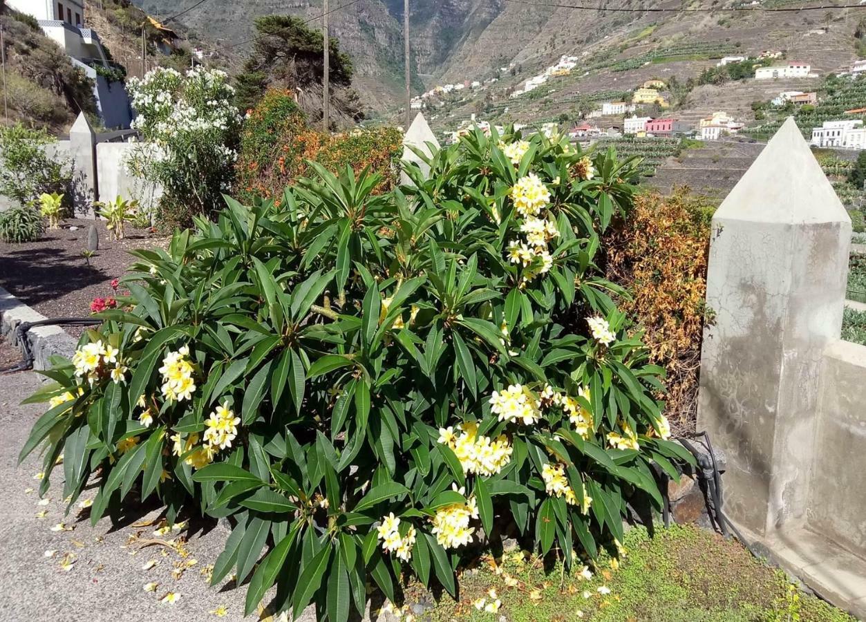 Gomera Garden. Vista Mar Altozano Hermigua Eksteriør billede